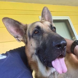 Meet your Posher, Jacob